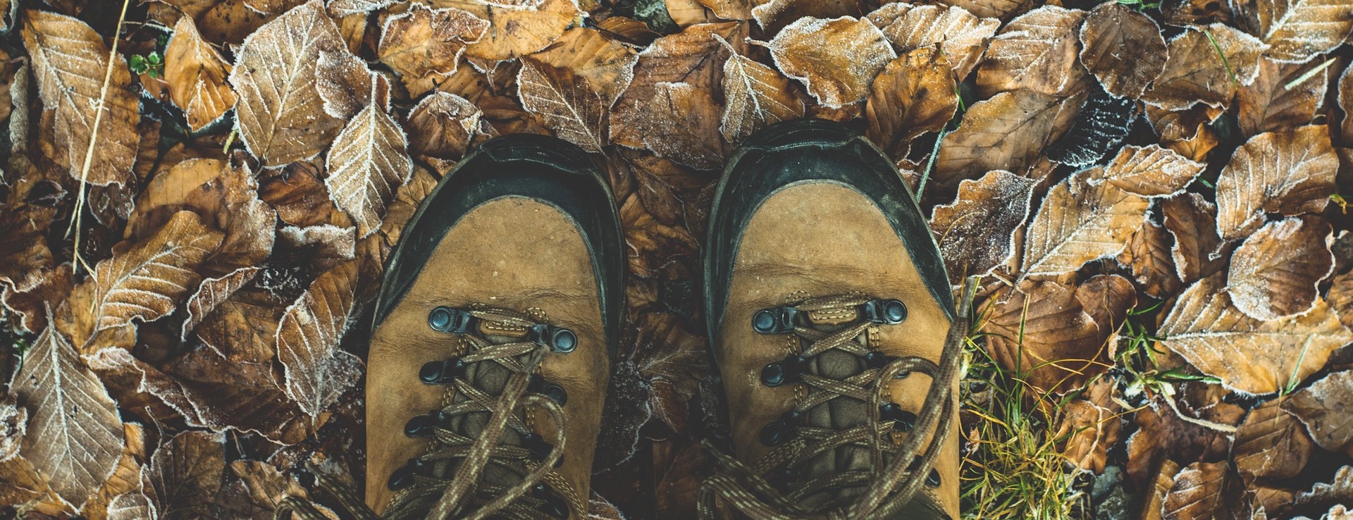 The Customer Isn't Always Right Shoes 1940249 1920