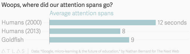 Attention spans